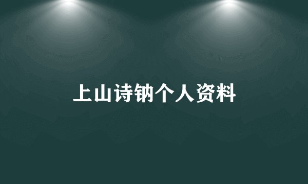 上山诗钠个人资料