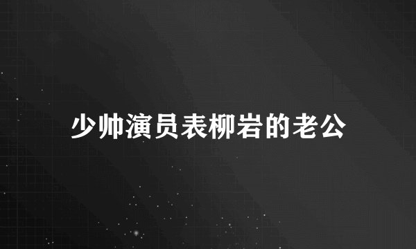 少帅演员表柳岩的老公