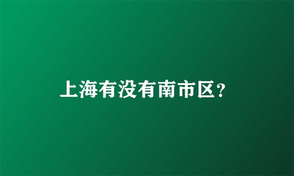上海有没有南市区？