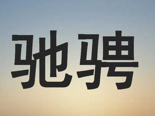 驰聘和驰骋的区别
