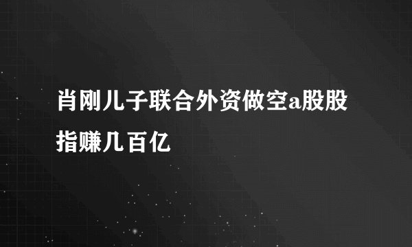 肖刚儿子联合外资做空a股股指赚几百亿