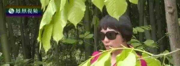 这5个轰动全国的旧闻故事,都和报仇有关