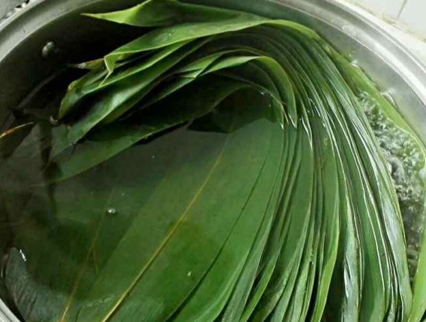 新鲜棕叶要煮多长时间?煮棕子要用多长时间?包棕子用的