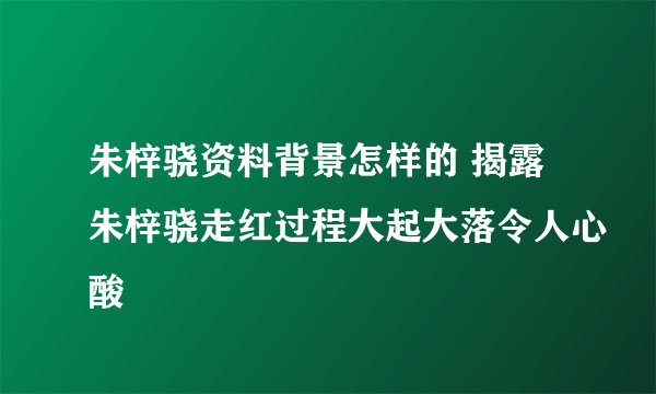 朱梓骁资料背景怎样的 揭露朱梓骁走红过程大起大落令人心酸
