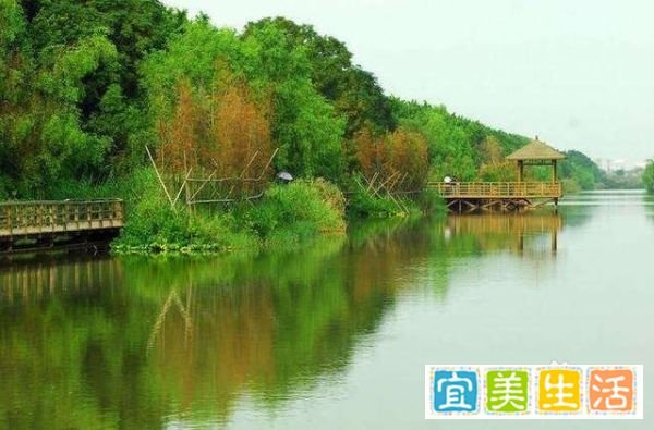 南沙湿地公园广州旅游攻略