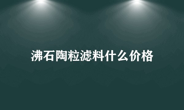 沸石陶粒滤料什么价格