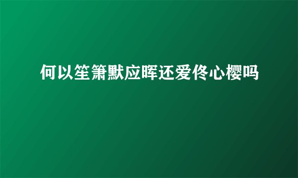 何以笙箫默应晖还爱佟心樱吗