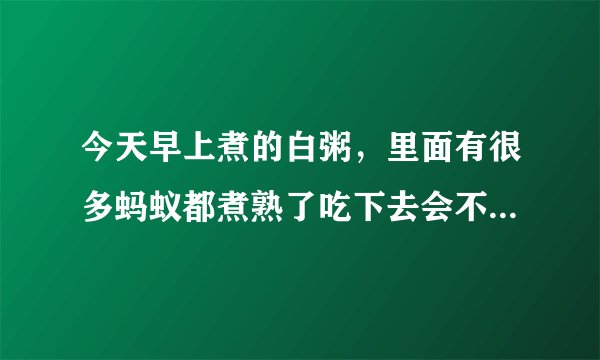 今天早上煮的白粥，里面有很多蚂蚁都煮熟了吃下去会不会有问题？