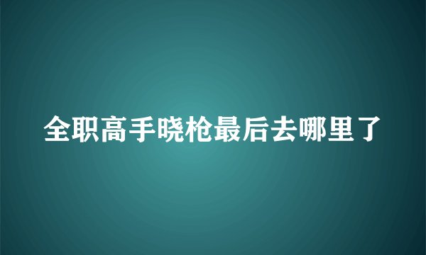 全职高手晓枪最后去哪里了