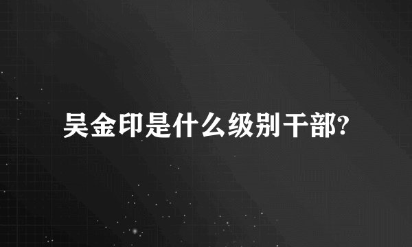 吴金印是什么级别干部?