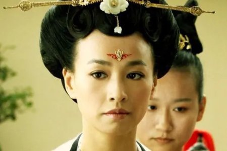 张庭主演的电视剧有哪些?