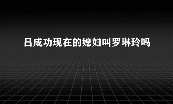吕成功现在的媳妇叫罗琳玲吗