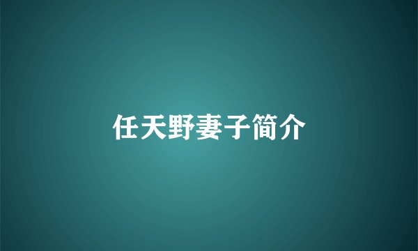 任天野妻子简介
