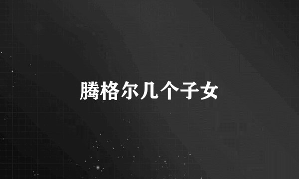 腾格尔几个子女