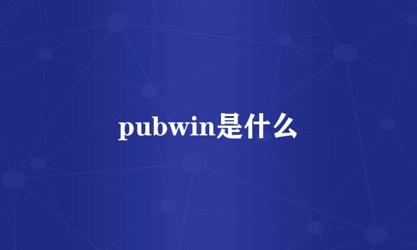 pubwin是什么