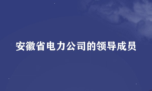 安徽省电力公司的领导成员