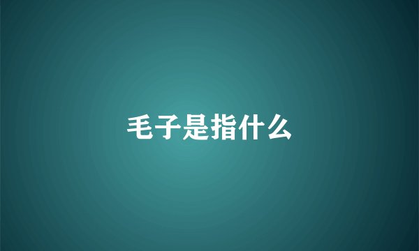 毛子是指什么