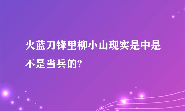 火蓝刀锋里柳小山现实是中是不是当兵的?
