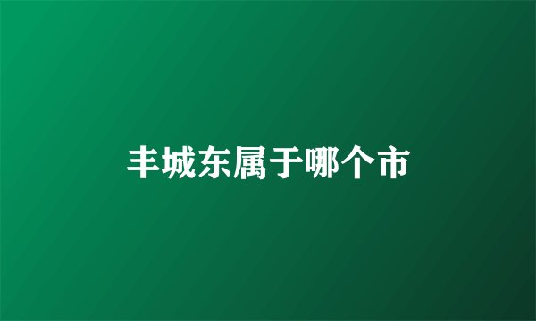 丰城东属于哪个市
