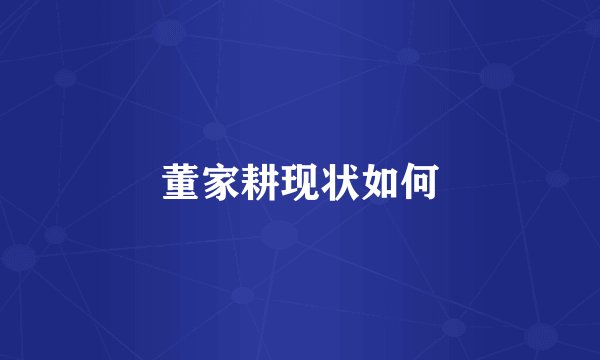 董家耕现状如何