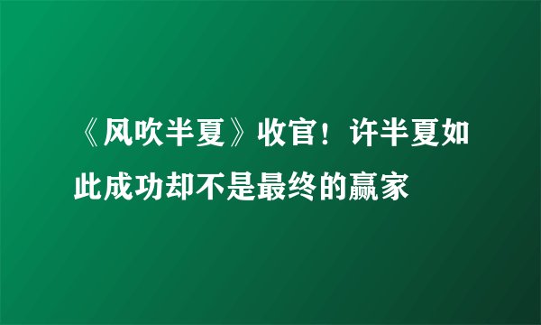 《风吹半夏》收官!许半夏如此成功却不是最终的赢家