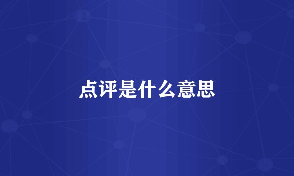 点评是什么意思