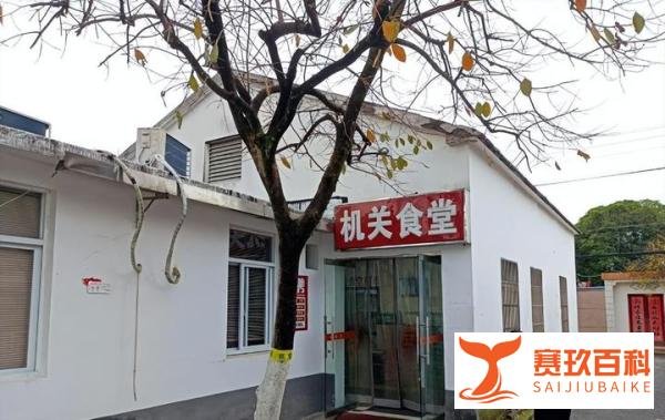 安徽县政府火了!大院随便进,饭随便吃,馒头5毛,捡破烂都能来