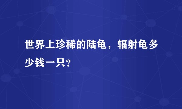 世界上珍稀的陆龟，辐射龟多少钱一只？