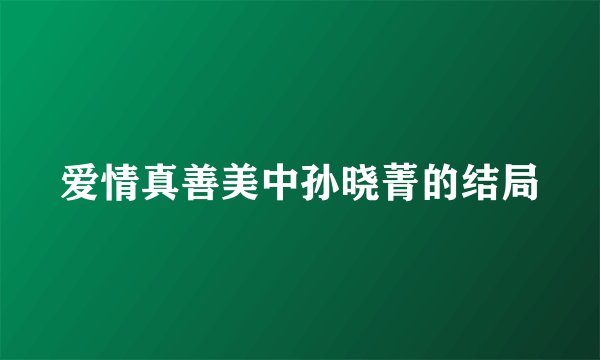 爱情真善美中孙晓菁的结局