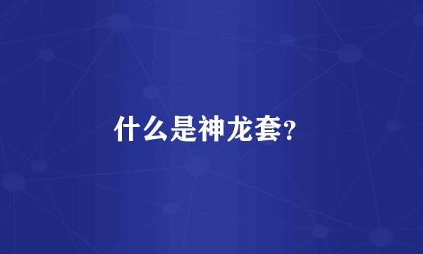 什么是神龙套？