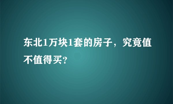 东北1万块1套的房子，究竟值不值得买？