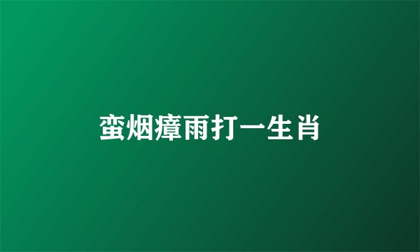 蛮烟瘴雨打一生肖