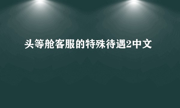 头等舱客服的特殊待遇2中文