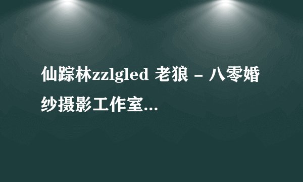 仙踪林zzlgled 老狼 - 八零婚纱摄影工作室,老狼的神秘之旅——八零婚纱摄影工作室