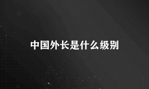 中国外长是什么级别