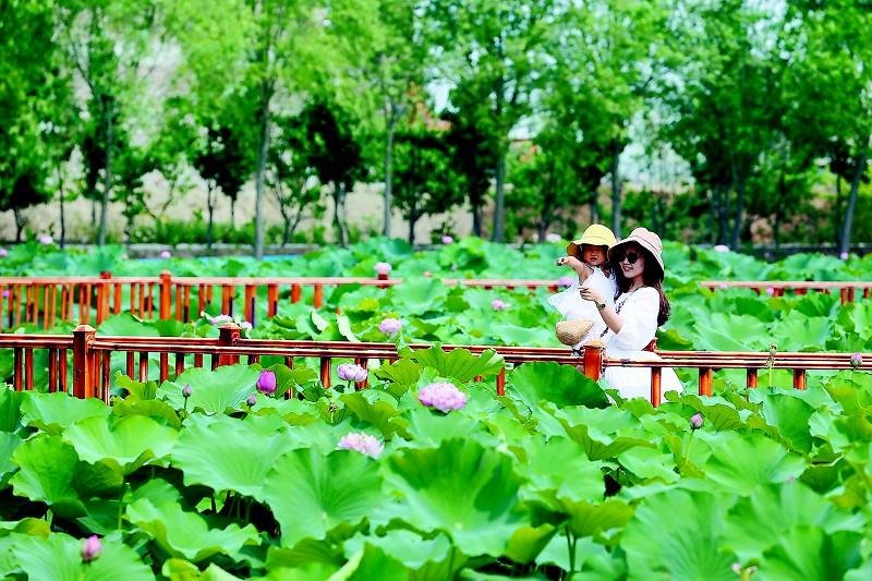 被称为“北上广曹”中,能和北上广并称的“曹”,何德何能?
