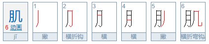 “肌”的组词有哪些？
