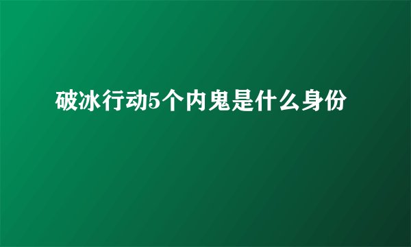 破冰行动5个内鬼是什么身份