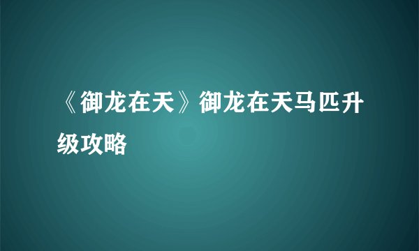 《御龙在天》御龙在天马匹升级攻略