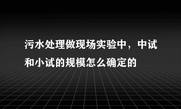 污水处理做现场实验中，中试和小试的规模怎么确定的