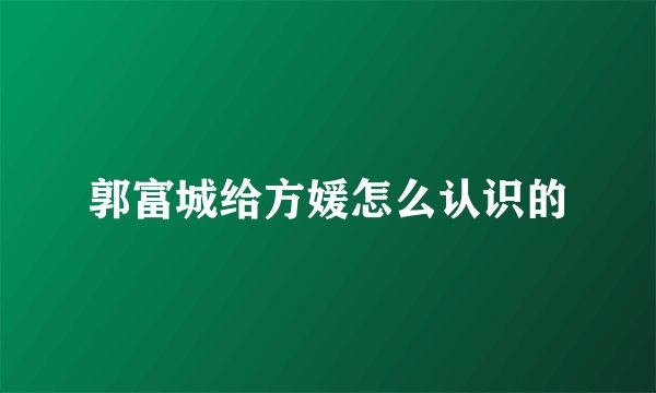 郭富城给方媛怎么认识的