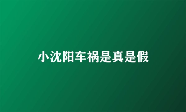 小沈阳车祸是真是假