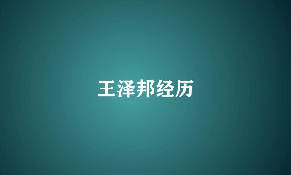 王泽邦经历