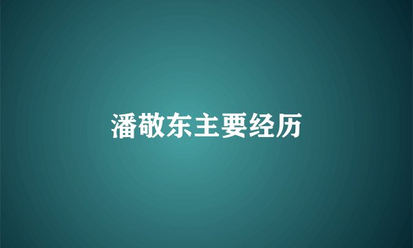 潘敬东主要经历