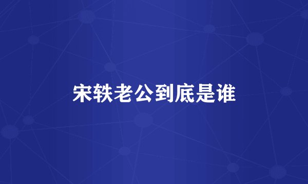 宋轶老公到底是谁