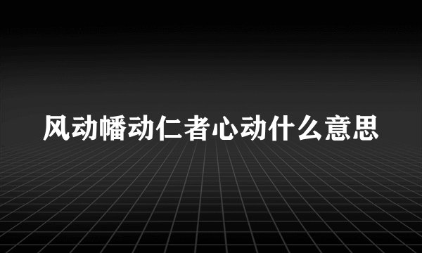 风动幡动仁者心动什么意思