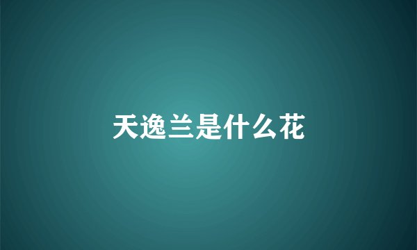 天逸兰是什么花