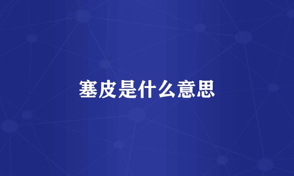 塞皮是什么意思