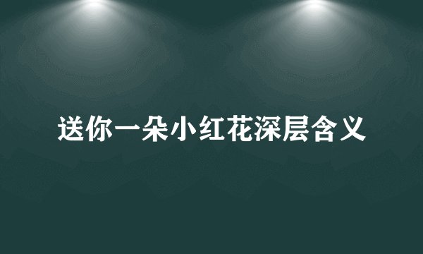 送你一朵小红花深层含义