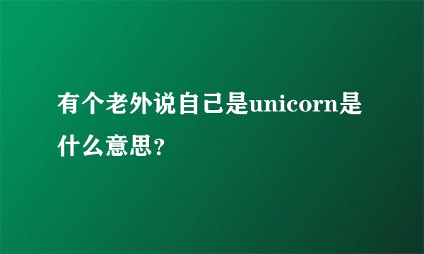 有个老外说自己是unicorn是什么意思?
